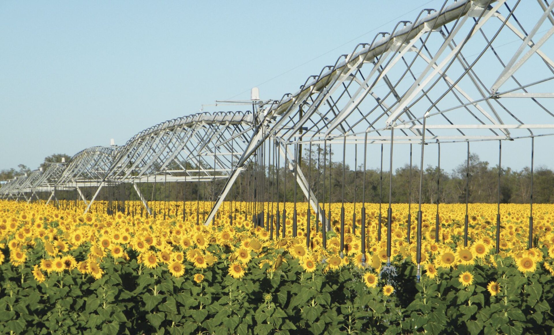 Riego Agrícola Valley En México: Eficiencia Y Productividad Para Tus ...